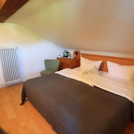 Gasthof Berghupferl 3* Oberaudorf